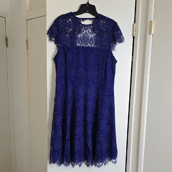 Julia Jordan Royal Blue Lace Dress - Picture 1 of 5